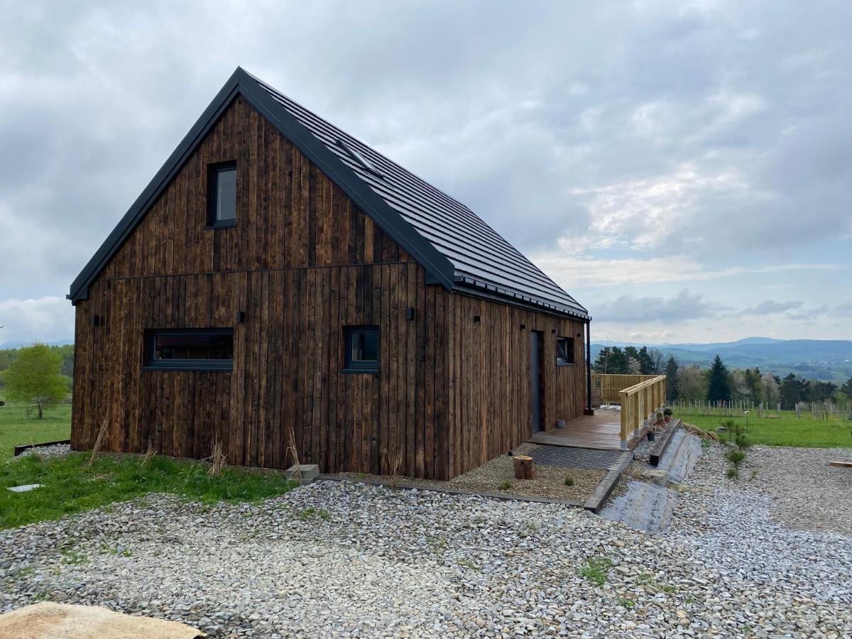 Villa Domek Przy Debrzy Poraz Exterior foto
